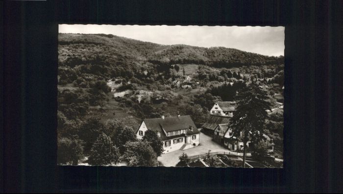 Sehringen Gasthaus zum grünen Baum