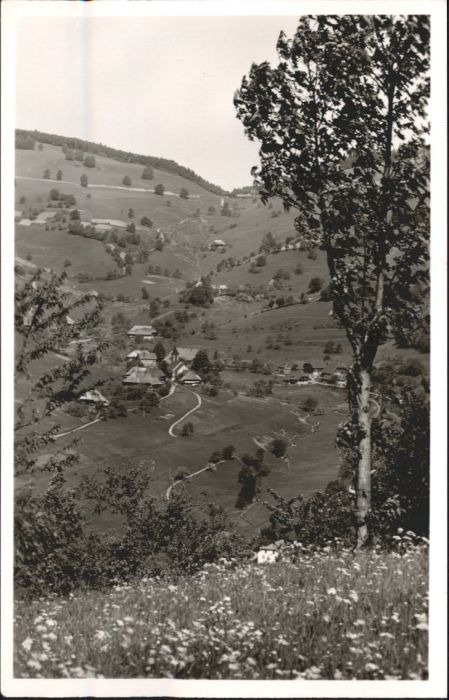 Wieden Schwarzwald Wieden