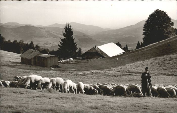 Wieden Schwarzwald Wieden Hotel Wiedener Eck Schäfer