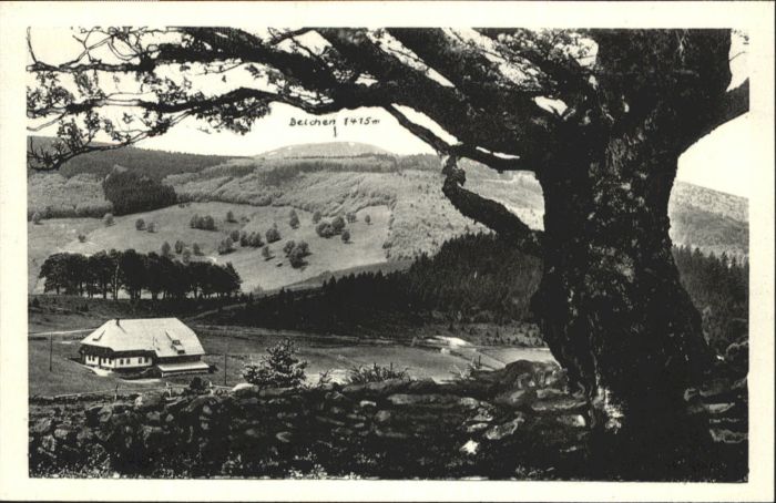 Obermuenstertal beritzenwald