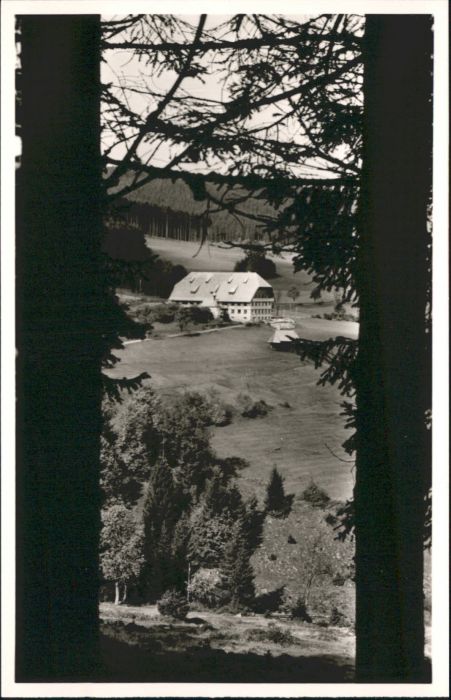 Hinterzarten Breisgau-Hochschwarzwald BW Alpersbach Gasthaus Pension Engel