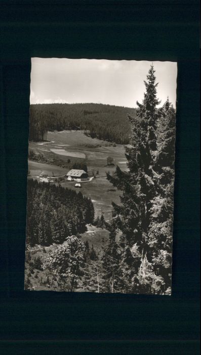 Hinterzarten Breisgau-Hochschwarzwald BW Alpersbach Gasthaus Pension Engel