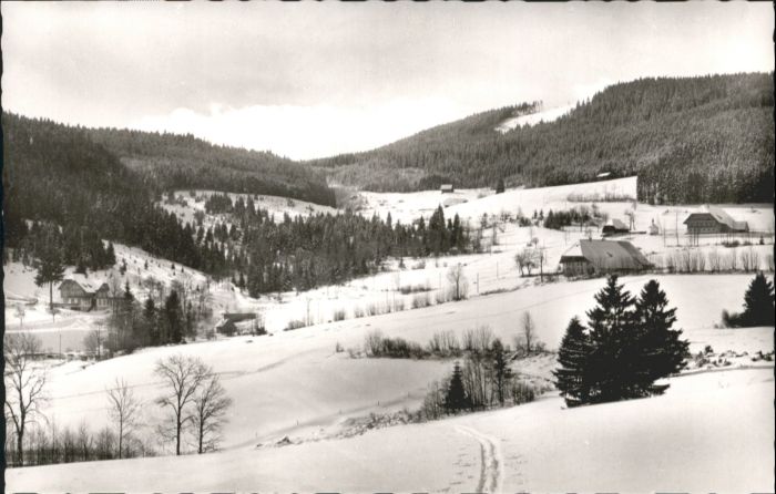 Hinterzarten Breisgau-Hochschwarzwald BW Alpersbach Gasthaus Pension Esche