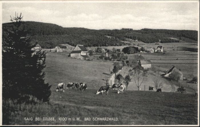 Saig Schwarzwald Saig