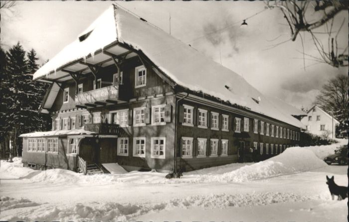 Saig Schwarzwald Saig Gasthof Ochsen