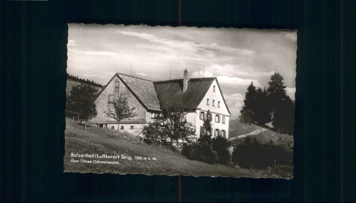 Saig Schwarzwald Saig Balzenhof