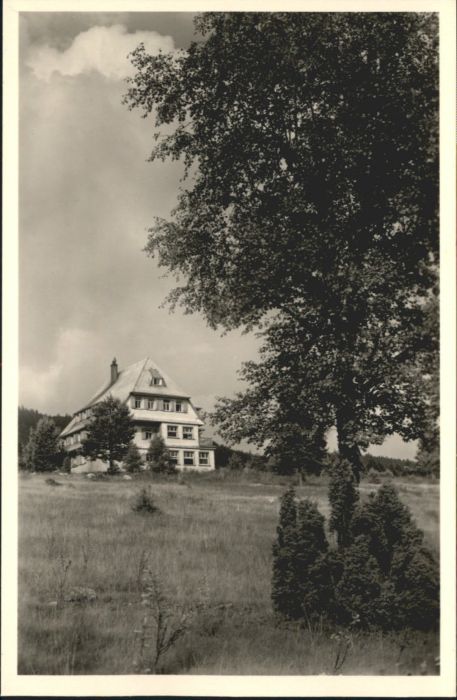 Saig Schwarzwald Saig Pension Haus Seifried