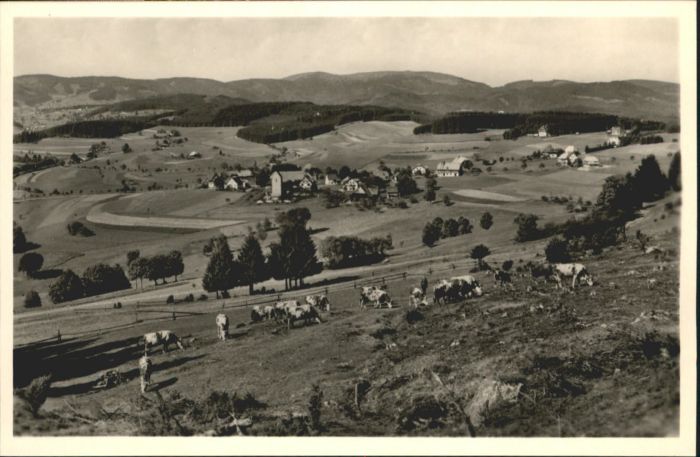 Saig Schwarzwald Saig