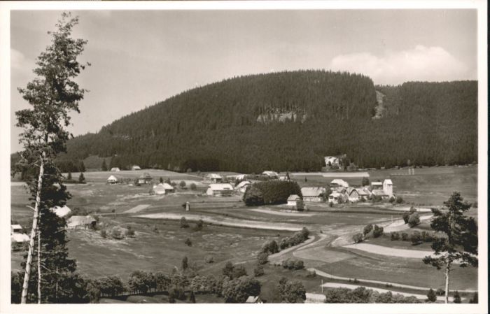 Saig Schwarzwald Saig Gasthof Ochsen
