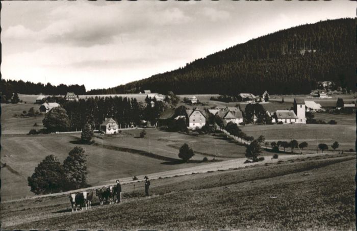 Saig Schwarzwald Saig