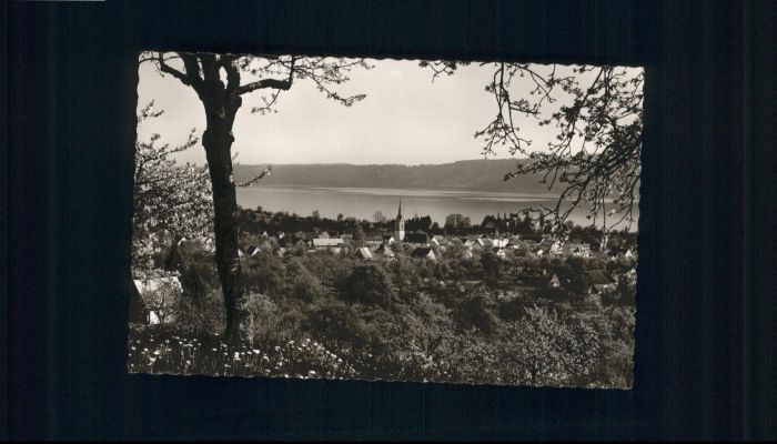 Ludwigshafen Bodensee