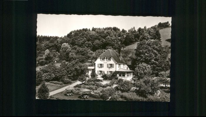 Ludwigshafen Bodensee Cafe Pension Franke