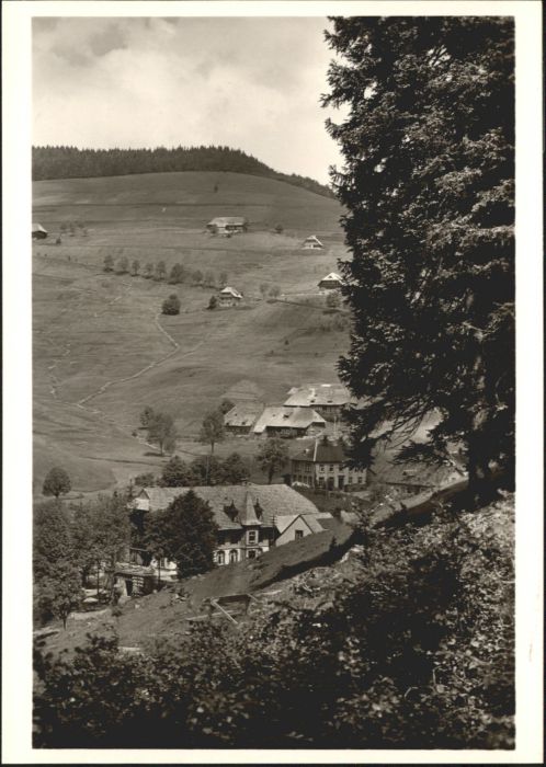 Muggenbrunn Gasthof grüner Baum