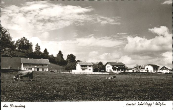 Scheidegg Allgaeu lasenberg Kuh