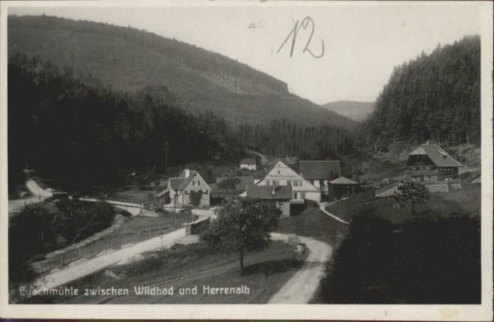 Eyach Eyachmuehle Wildbad Herrenalb