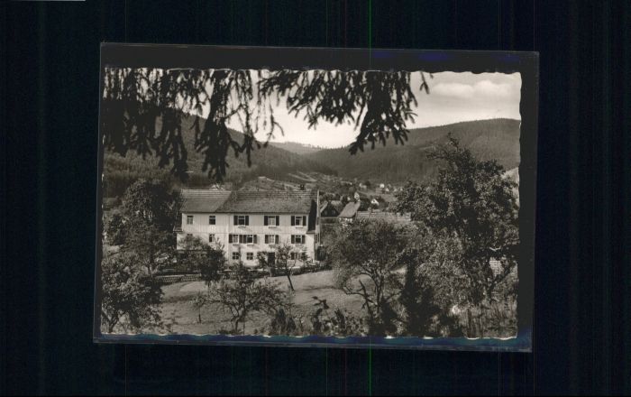 Enzkloesterle chwarzwald Cafe Pension Keppler