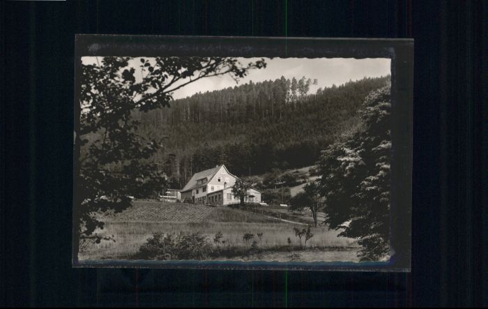 Enzkloesterle ildbad Schwarzwald Pension Schraft