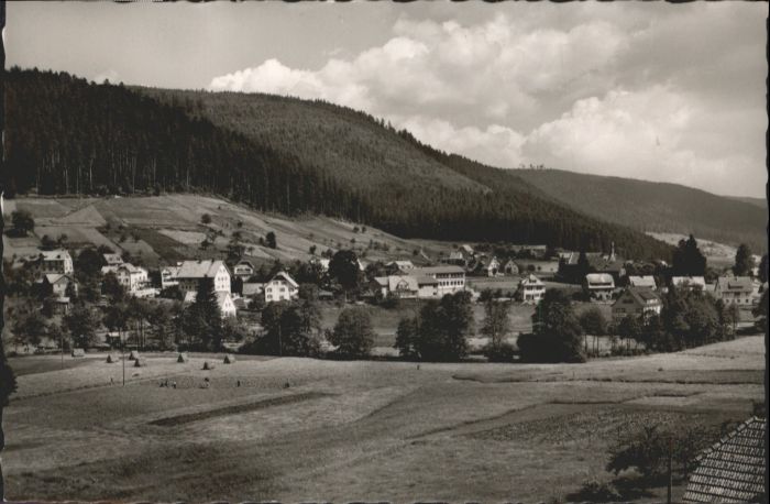 Enzkloesterle ildbad Schwarzwald