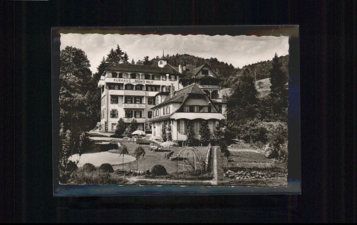 Bad Herrenalb Schwarzwald Kurhaus Sanatorium Grüner W