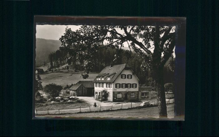 Erbersbronn Gasthaus zum grünen Wald