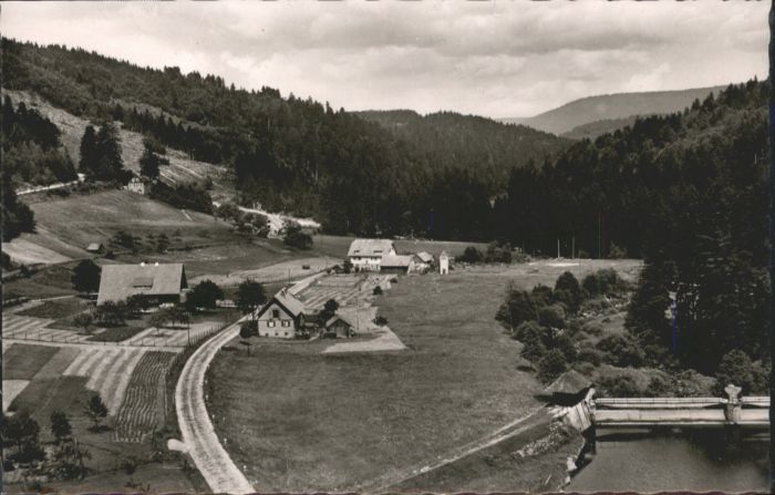 Erbersbronn Gasthaus zum grünen Wald