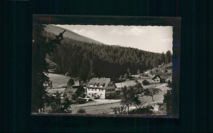 Erbersbronn Gasthaus zum grünen Wald