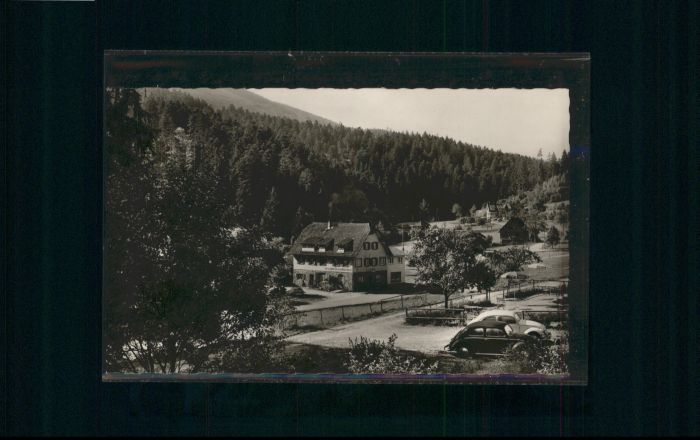 Erbersbronn Gasthaus zum grünen Wald