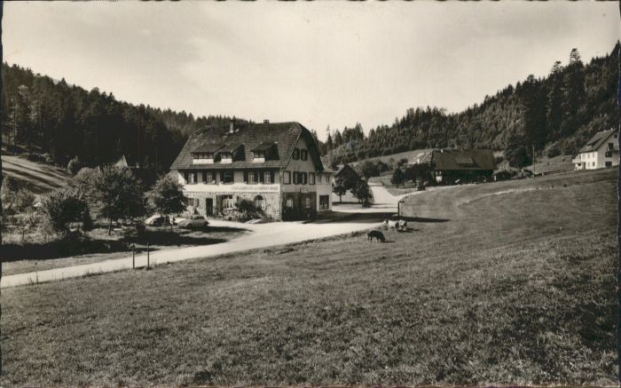 Erbersbronn Gasthaus zum grünen Wald