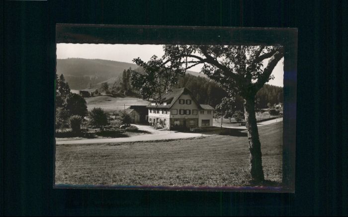 Erbersbronn Gasthaus zum grünen Wald