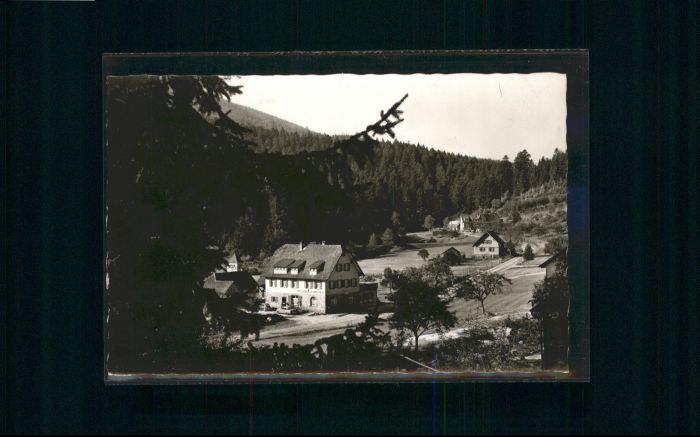 Erbersbronn Gasthaus zum grünen Wald