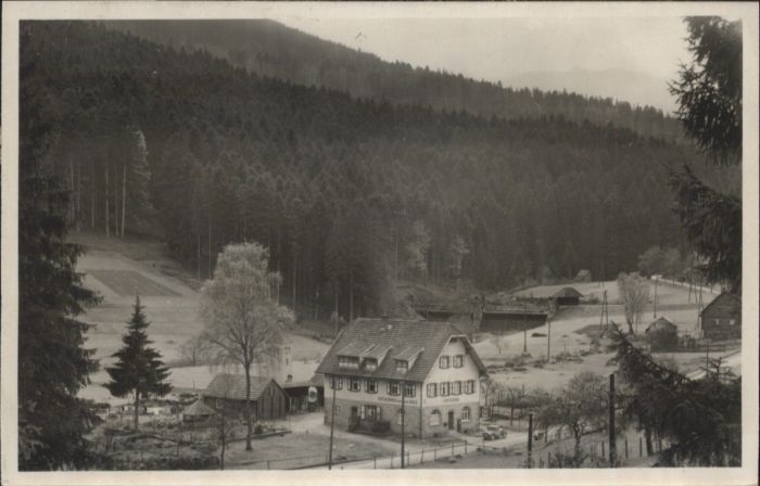 Erbersbronn Pension zum grünen Wald
