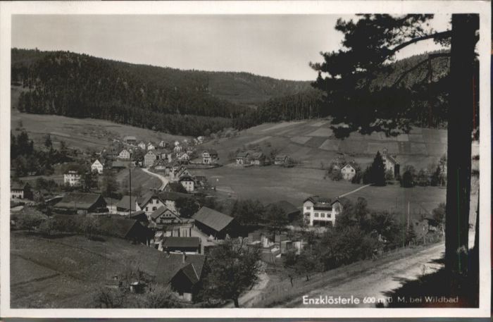 Enzkloesterle