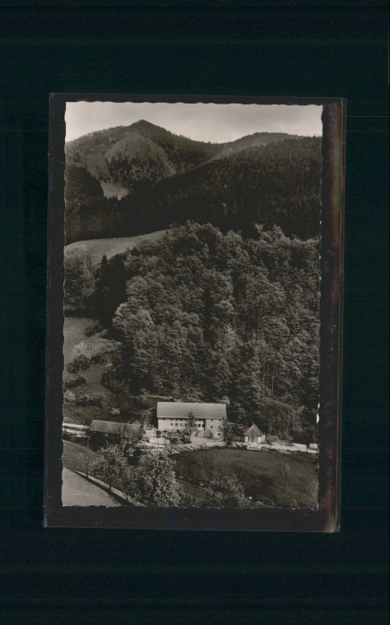 Simonswald Haslach Gasthaus Sägerstüble *