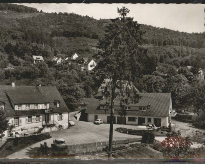 Sehringen Gasthaus zum grünen Baum