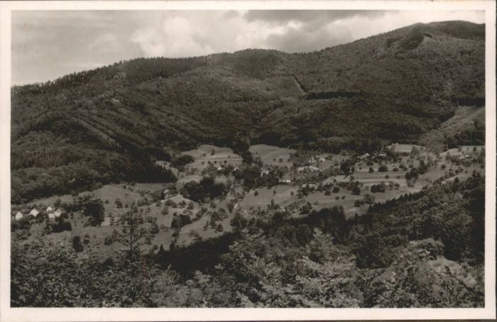 Sehringen Gasthaus zum grünen Baum