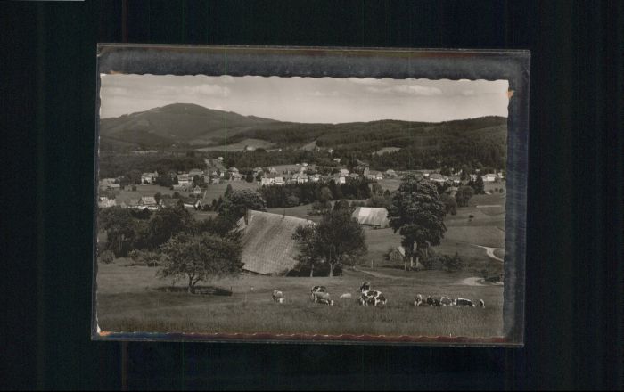 Hinterzarten Breisgau-Hochschwarzwald BW