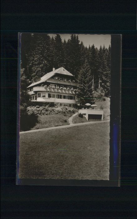 Hinterzarten Breisgau-Hochschwarzwald BW Fremdenheim Auf der Waldhoehe