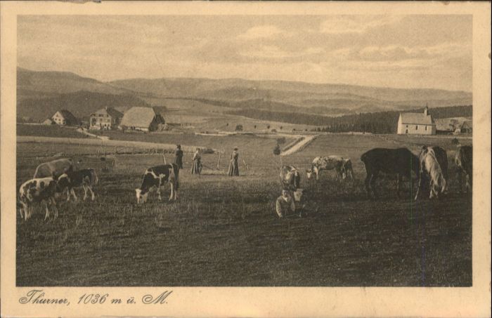 Hinterzarten Breisgau-Hochschwarzwald BW Hotel Pension Thurner