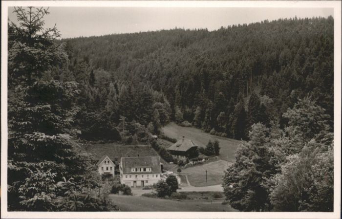 Dobel Schwarzwald Dobel Gasthaus Pension Eyachmühle