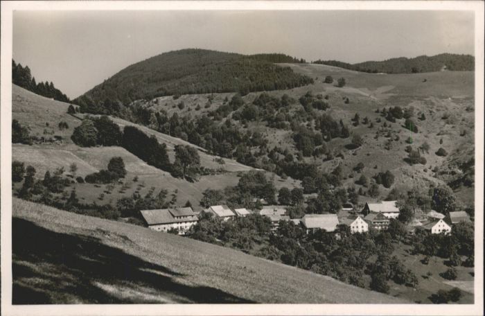 Holzinshaus Erholungsheim Sonnenhof Belchen