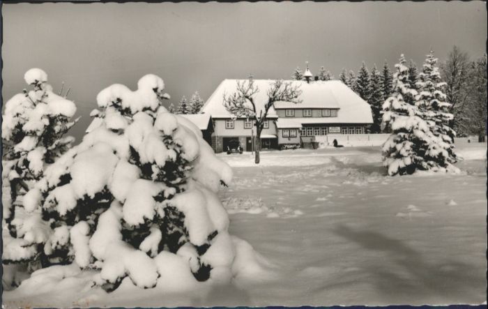 Schonach Schwarzwald Schonach Gasthaus Wilhelmshöhe