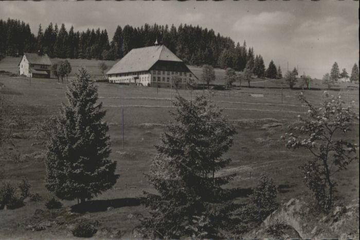 Schonach Schwarzwald Schonach Wolfsbauernhof