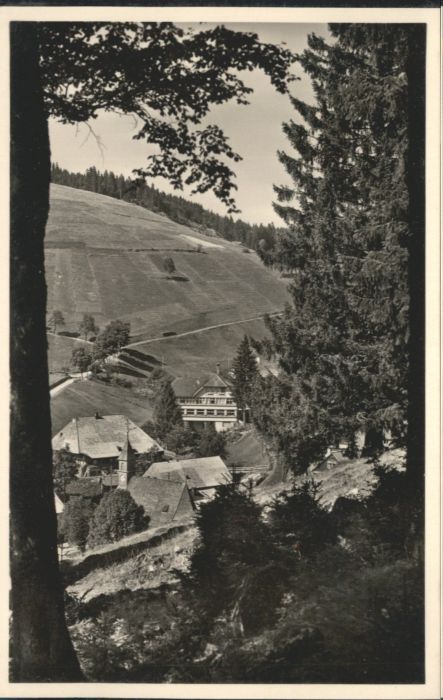 Muggenbrunn Gasthaus Pension Adler