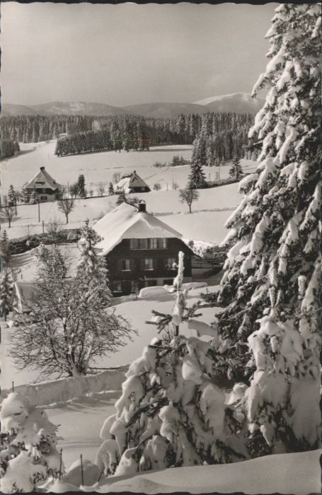 Saig Schwarzwald Saig Kinderkurheim Schwoerer