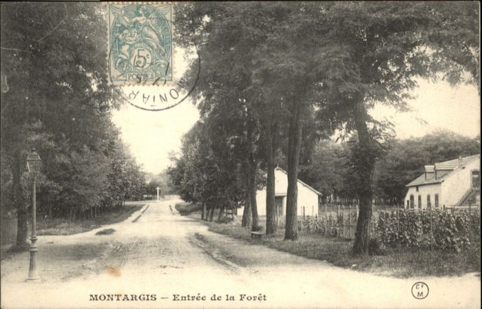 Montargis Loiret Montargis Foret