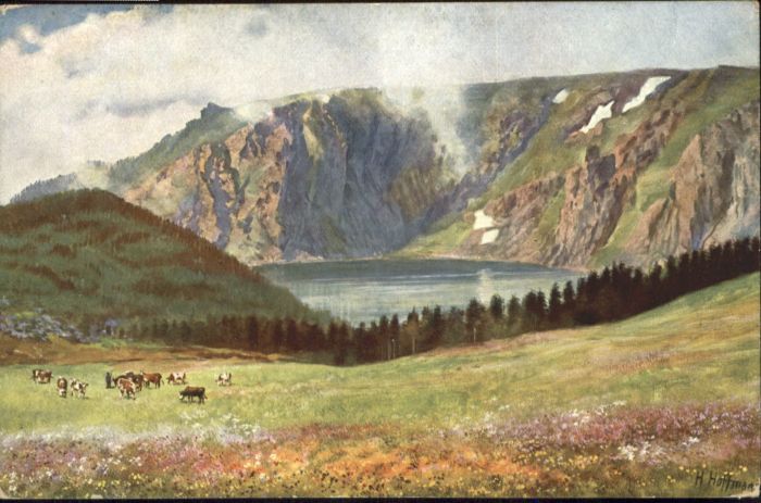 Weisser See Elsass Künstler H Hoffmann Kühe *