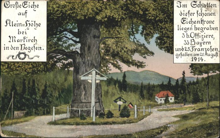 Markirch Heldengräber Grosse Eiche