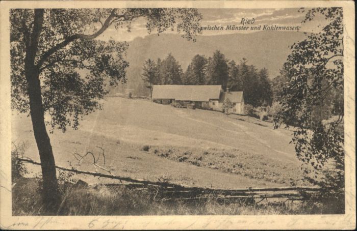 Ried Elsass Münster Kahlenwasert