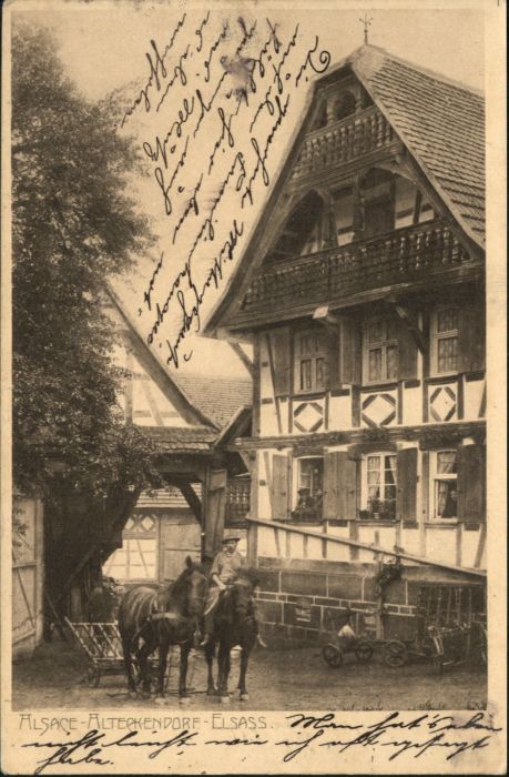Alteckendorf Elsass Pferd