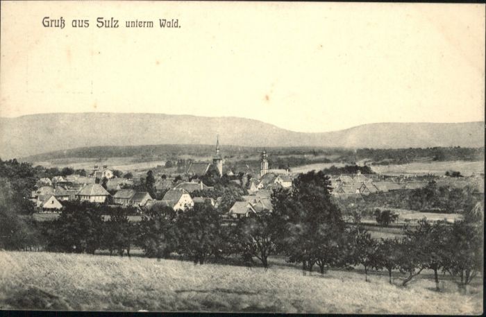 Sulz Elsass unterm Wald